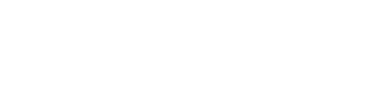 STEADY COMPASS